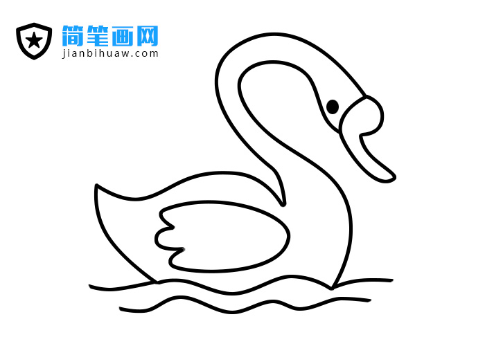 天鹅简笔画的画法步骤和上色教程