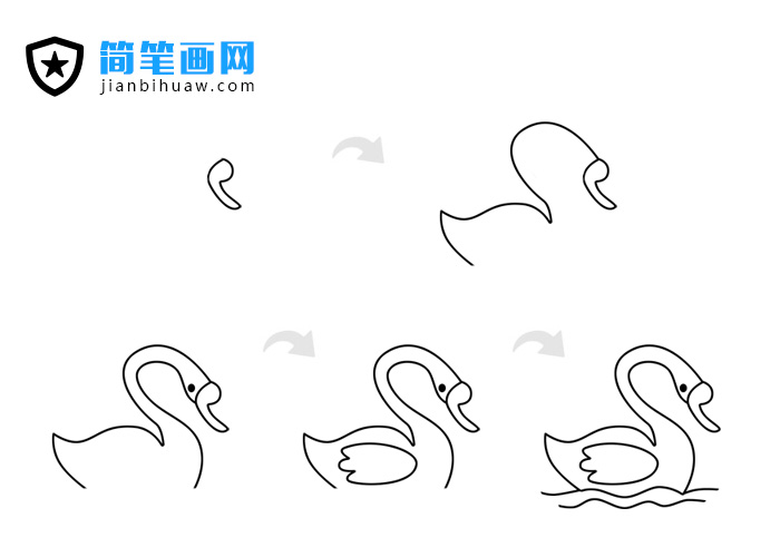 天鹅简笔画的画法步骤和上色教程