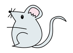 老鼠简笔画的画法步骤及上色图片