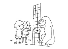 两位小朋友在动物园喂大猩猩吃水果的简笔画图片