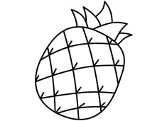 菠萝的简笔画图片