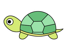乌龟简笔画图片含上色图片