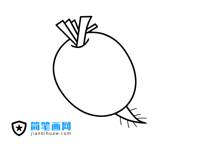 萝卜的简笔画图片