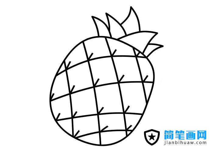 菠萝的简笔画图片