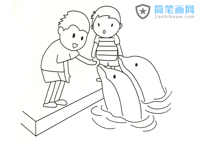 小朋友与海豚互动的简笔画图片