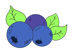 蓝莓简笔画图片含上色