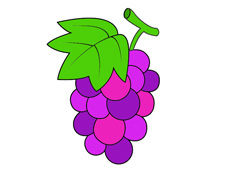 紫色葡萄简笔画图片含上色