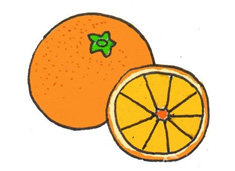 橙子简笔画上色图片