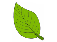 ҶʻͼƬɫ
