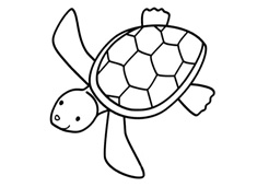 小海龟简笔画图片