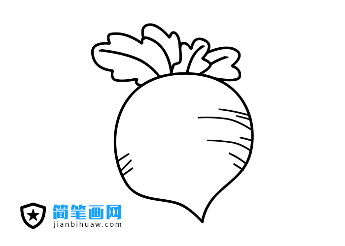 萝卜简笔画图片