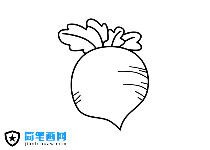 简单生动的萝卜简笔画图片及步骤