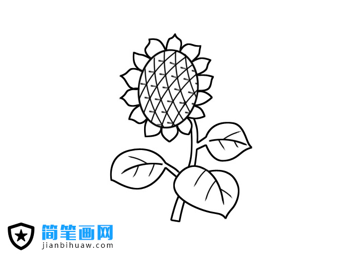 儿童简笔画向日葵图片