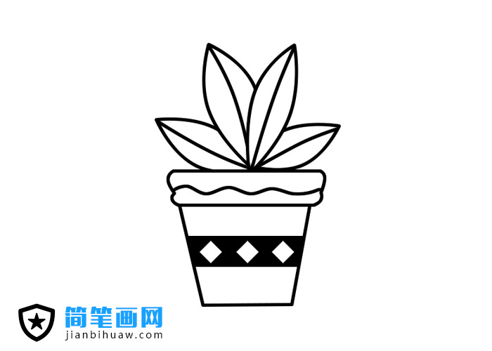 植物盆景简笔画的法画步骤和上色图片