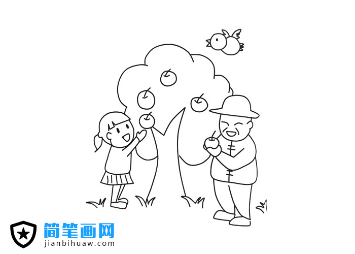 小朋友和爷爷在苹果树下摘苹果的简笔画图片
