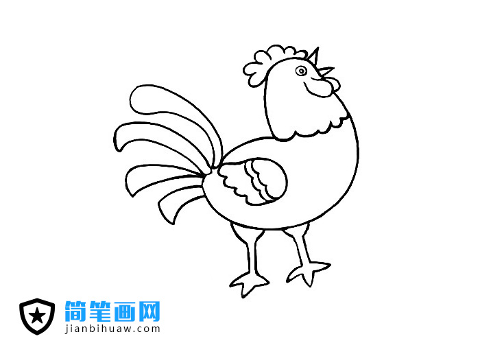 大公鸡简笔画图片