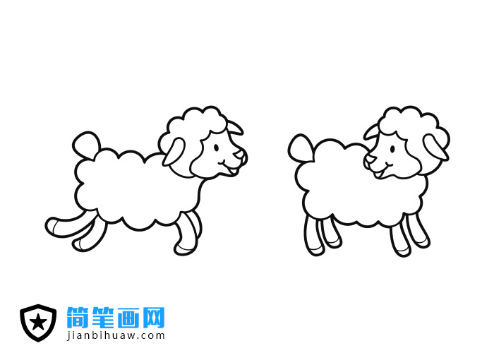 小绵羊简笔画图片