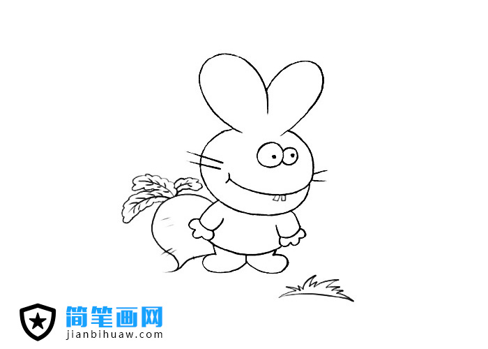 小兔子和萝卜的简笔画图片