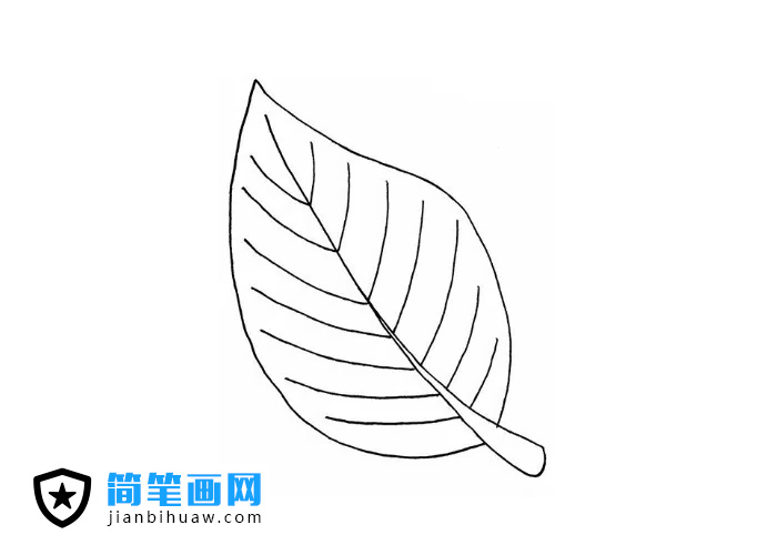 绿叶简笔画图片和上色
