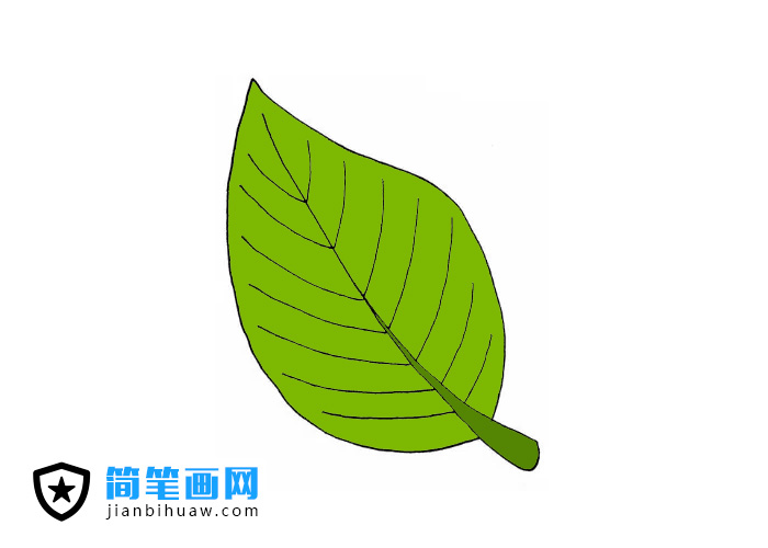 绿叶简笔画图片和上色