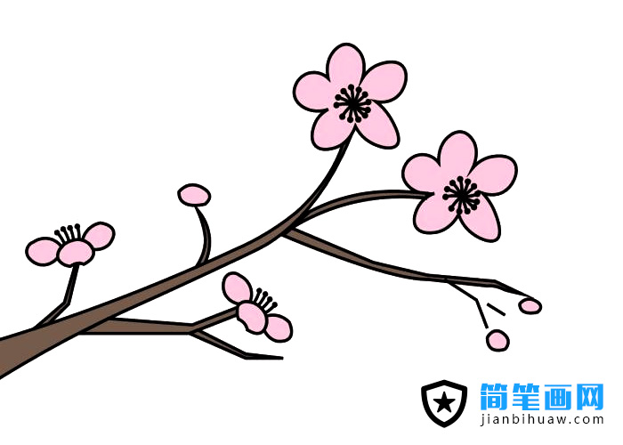 梅花枝叶简笔画图片含上色