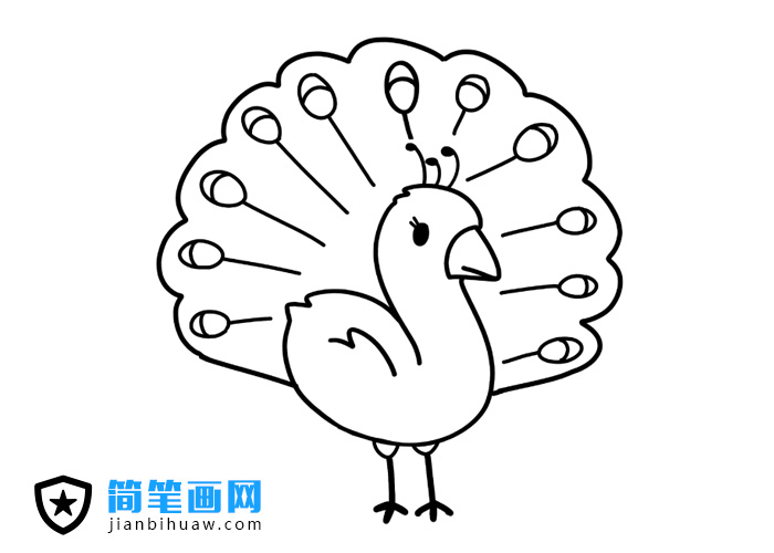 孔雀开屏简笔画图片