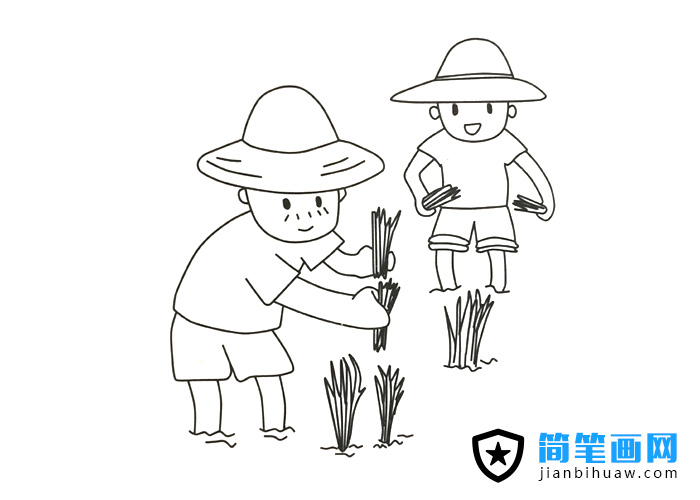 两位农民爷爷在田里栽水稻的简笔画图片