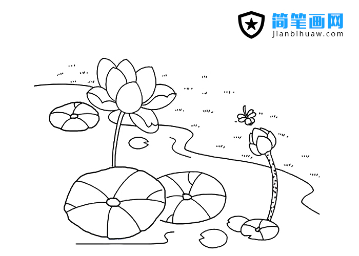 荷花池的简笔画图片
