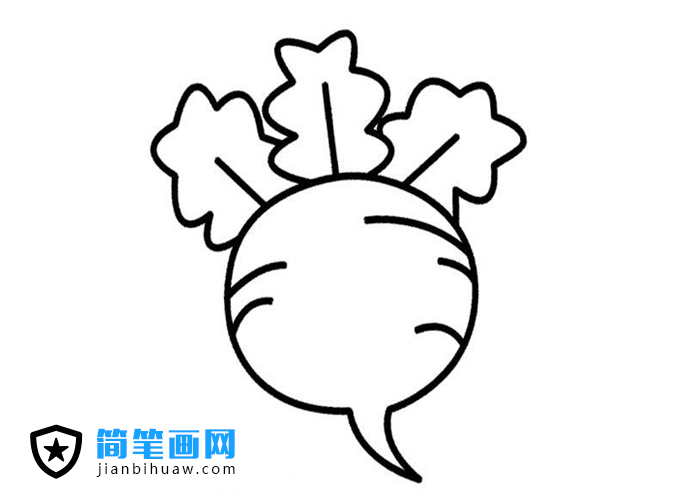 萝卜简笔画图片含上色