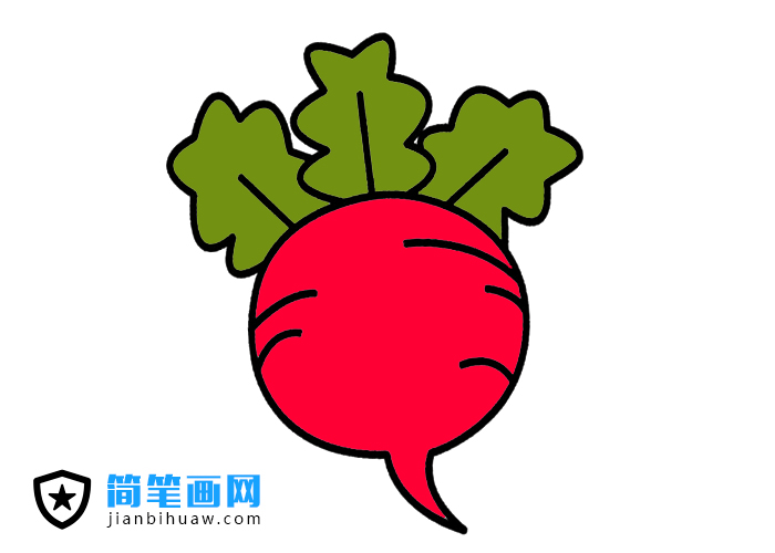 萝卜简笔画图片含上色