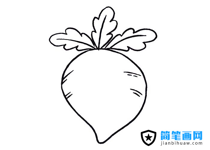美味红萝卜简笔画图片