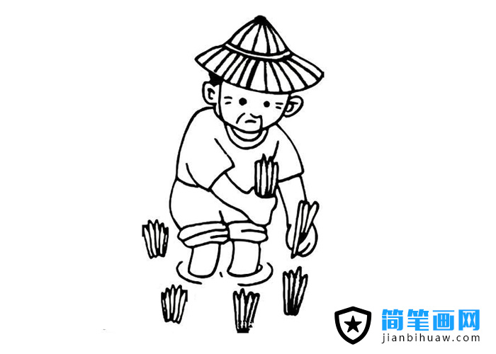 农民伯伯插秧的简笔画图片