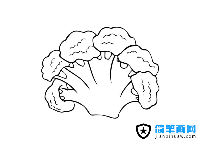 花菜菜花简笔画图片