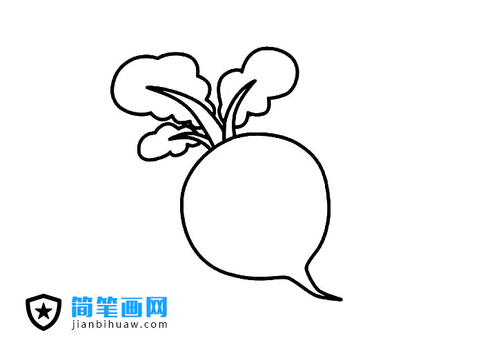简单的萝卜简笔画图片