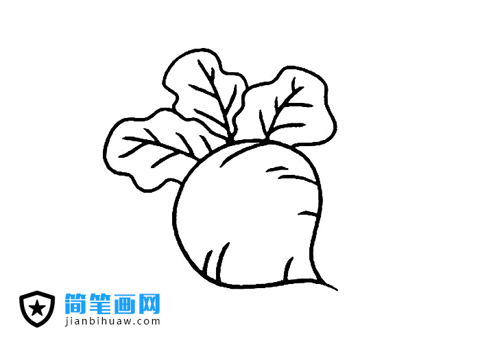 好看的萝卜简笔画图片