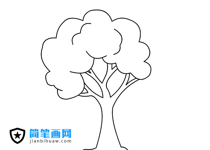 大树的简笔画画法图片