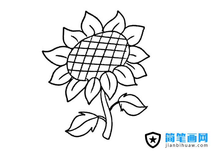 好看的向日葵简笔画图片