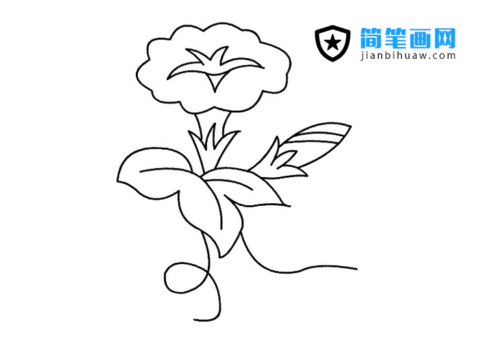 喇叭花简笔画图片