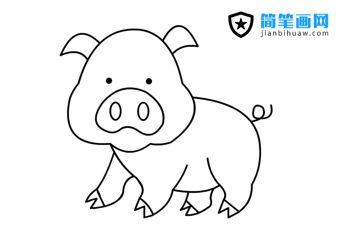 可爱的小猪简笔画图片