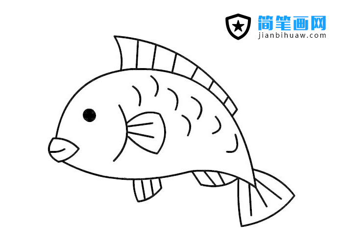可爱的小鲤鱼简笔画图片