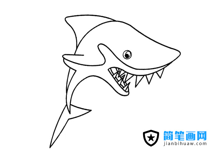 满嘴獠牙的鲨鱼简笔画图片