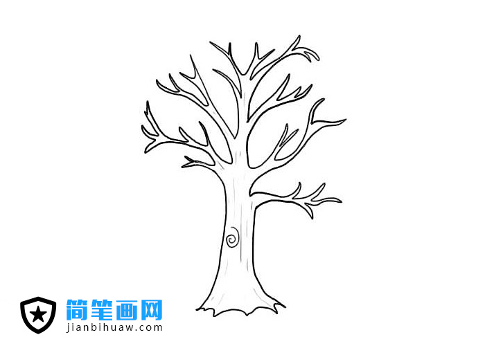 枯萎的大树简笔画图片