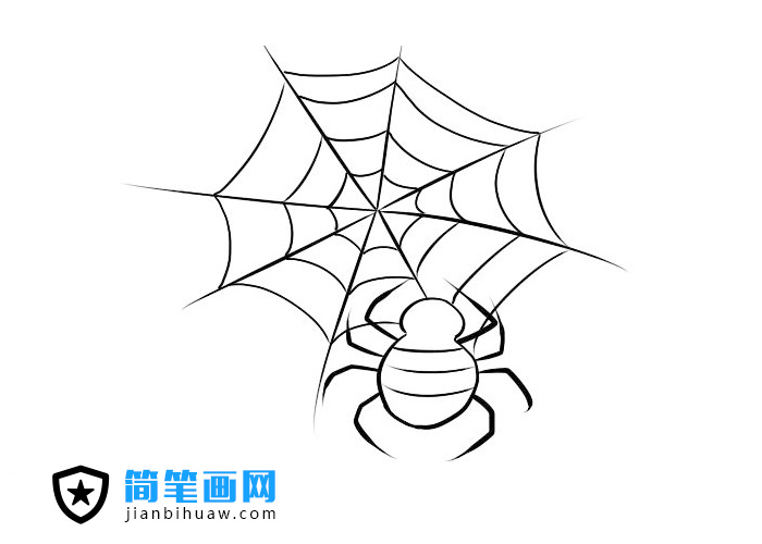 简单好画的蜘蛛网蜘蛛简笔画图片