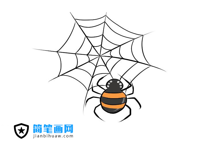 简单好画的蜘蛛网蜘蛛简笔画图片