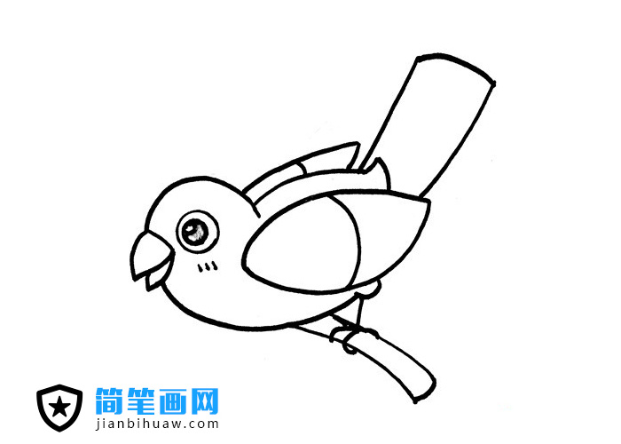 站在树枝上的小鸟简笔画图片
