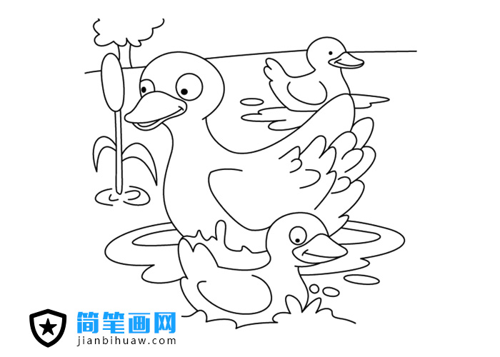 一只大鸭子带两只小鸭子河里游泳的简笔画图片