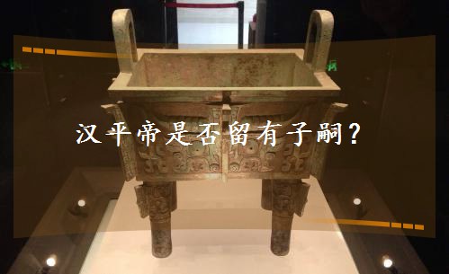 汉平帝是否留有子嗣? 汉平帝是否留有子嗣?